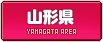 �R�`���̎ʃ��t�I�P���L