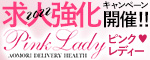 Pink Lady〜ピンクレディー〜
