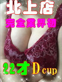 (�k)�̌�22��D