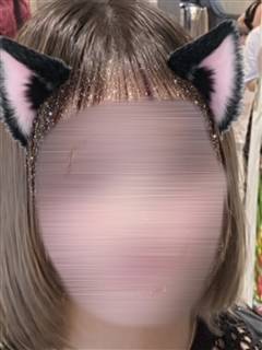 �̌����m(����)�̉摜