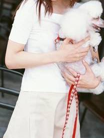 20201026�e�X�g