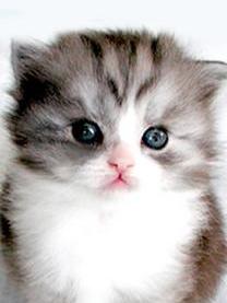 20170602�e�X�g2