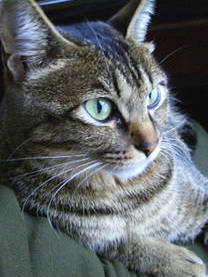 20191209�e�X�g